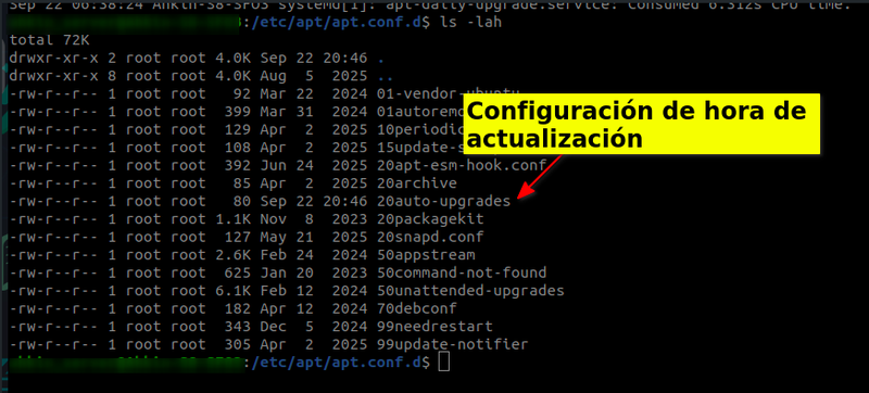shell de prueba